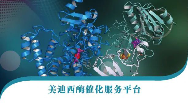 不朽情缘mg官网酶催化服务平台.jpg